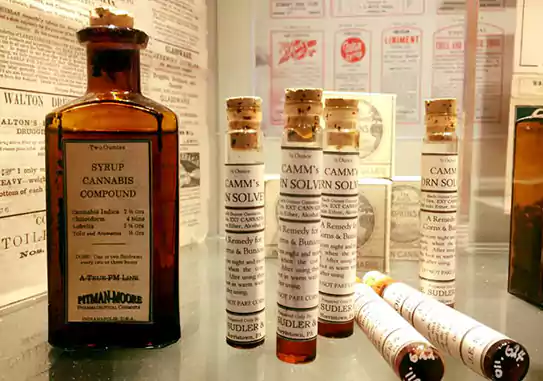 Cultívate en el Museo del Cáñamo y la Marihuana