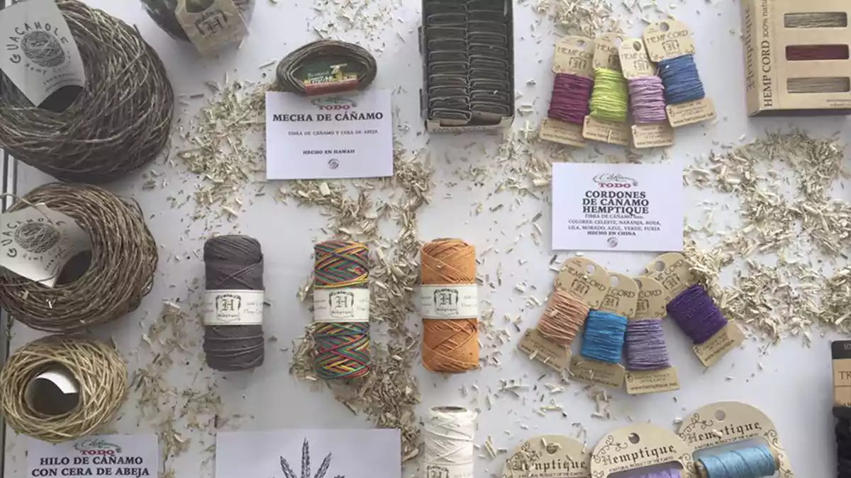 Cultívate en el Museo del Cáñamo y la Marihuana