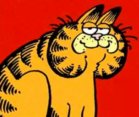 Garfield: la historia y legado del gato más famoso 1 Garfield 1978